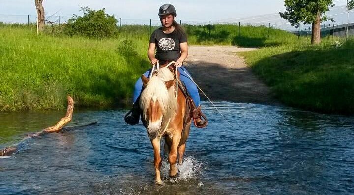 20170528-IMG-20170528-WA0004-2