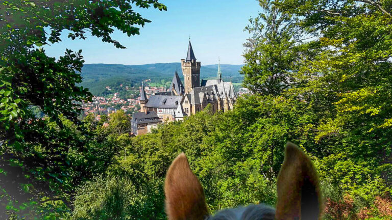 20170829-IMG-20170829-WA0000-768x432