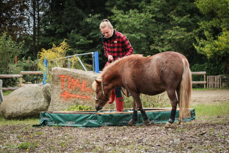 241638097_324310319493207_1711459287174455396_n-768x512