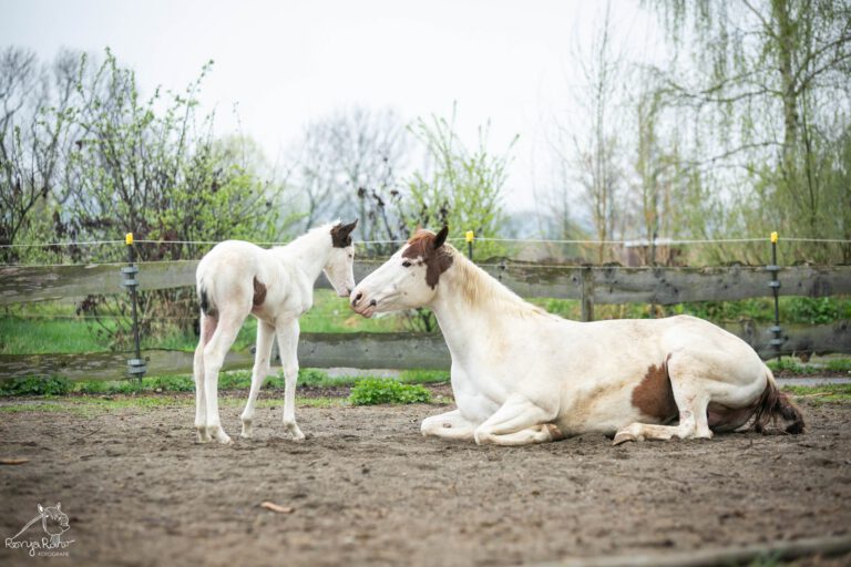 476370484_1135719621685602_2609114001180310496_n-768x512