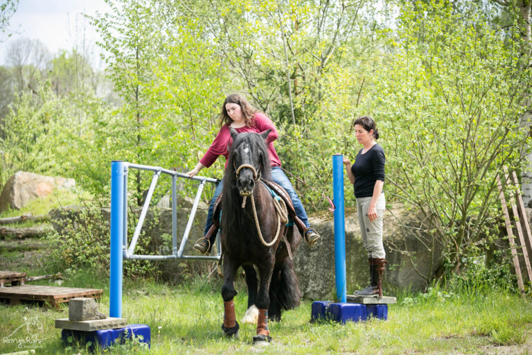 480818811_1152279110029653_6769452110843539086_n-768x512