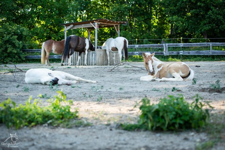 481098082_1153439506580280_478008088690069463_n