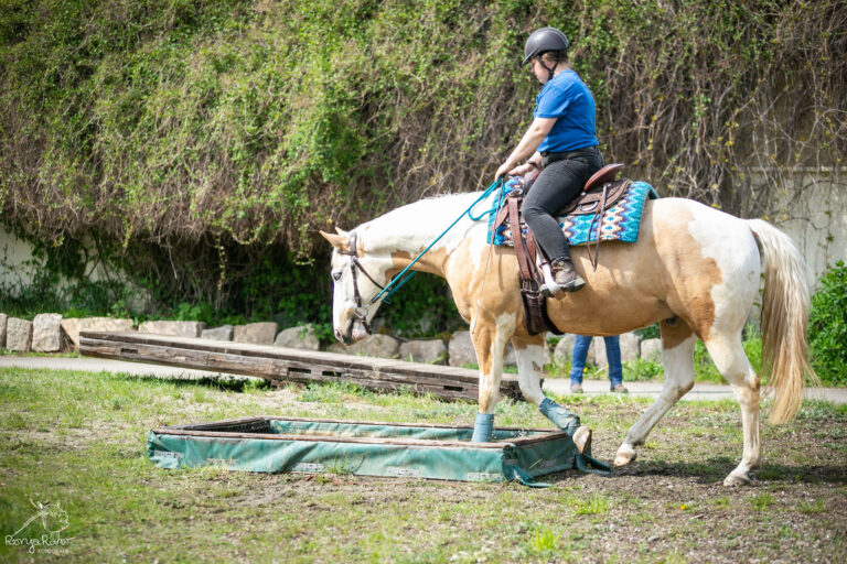 481160583_1152279100029654_7274428483998986867_n-768x512