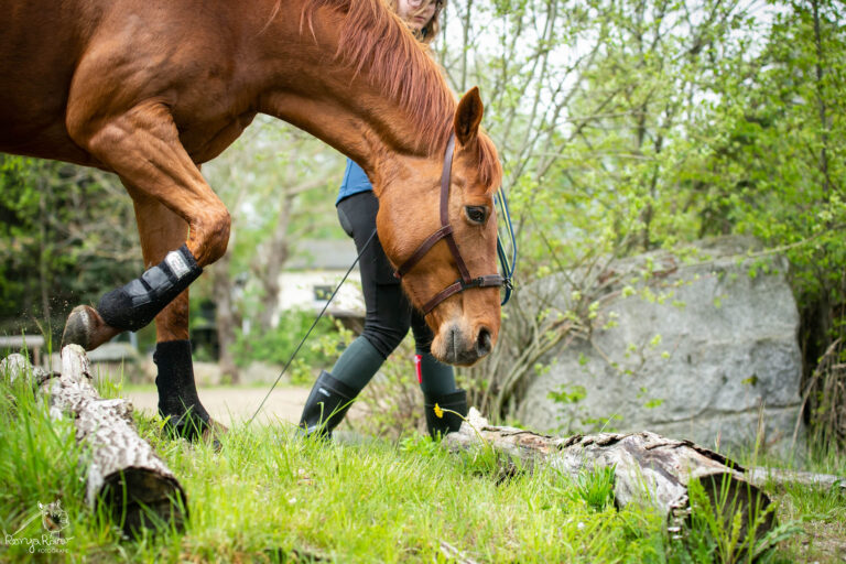 482322809_1152279116696319_3022823841521099262_n-768x512