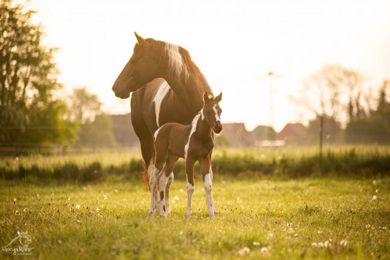 485034282_1166140285310202_8139912030273083223_n-768x512