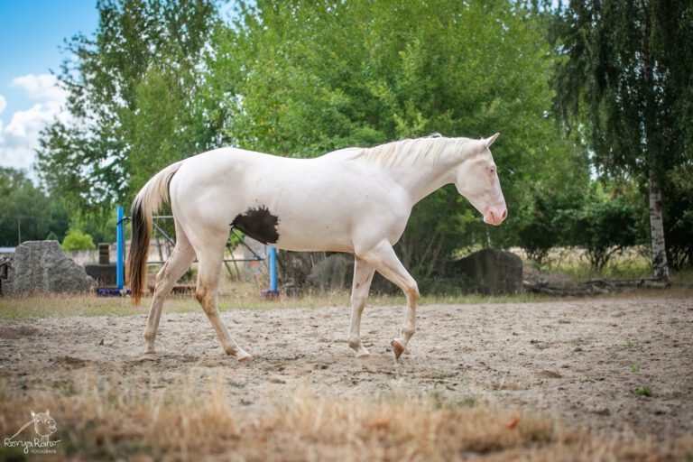 516835420_1253704656553764_6328619583254291398_n-2-768x512