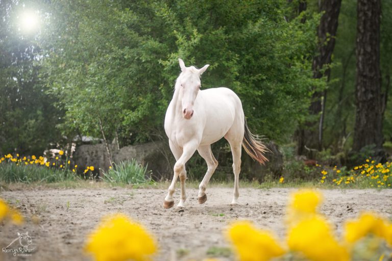 518240825_1253704616553768_6817307851188481579_n-768x512