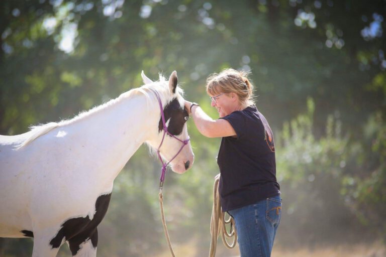 70382227_715574252189202_6594103146845306880_n-768x512