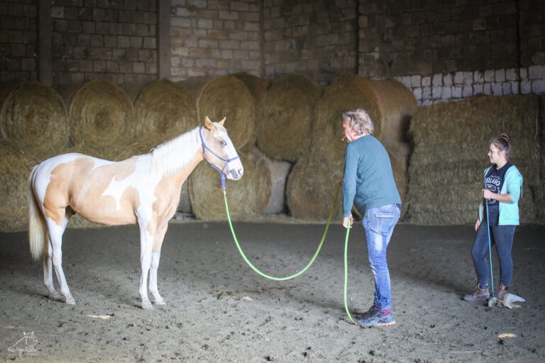 72306054_738401423239818_5689045733898977280_n-768x512