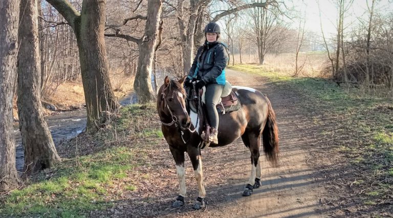 IMG-20200208-WA0003-2-768x427