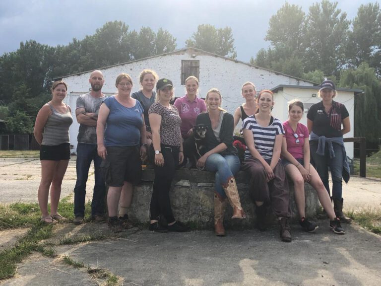 IMG-20210704-WA0000-768x576