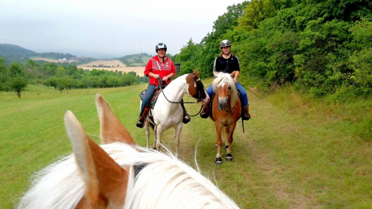 IMG_20170709_202914-768x432