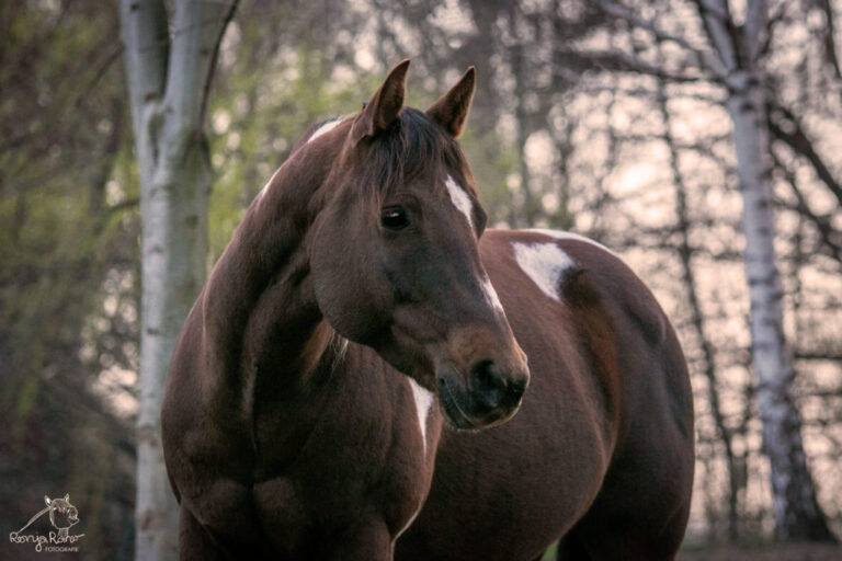 P62A1503_wz-1024x683-1-768x512