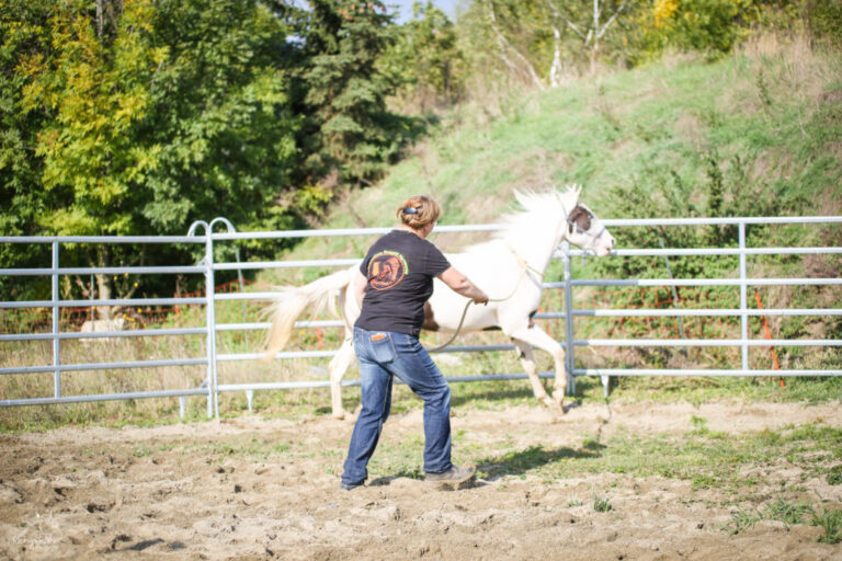 P62A1993-1024x683-1-768x512