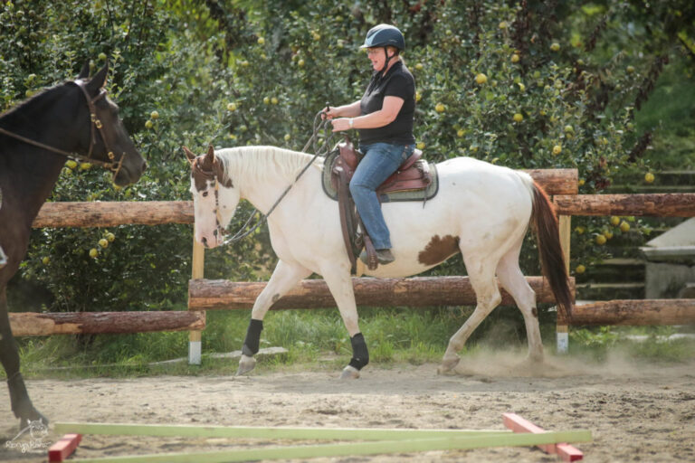 P62A3276-1024x683-1-768x512