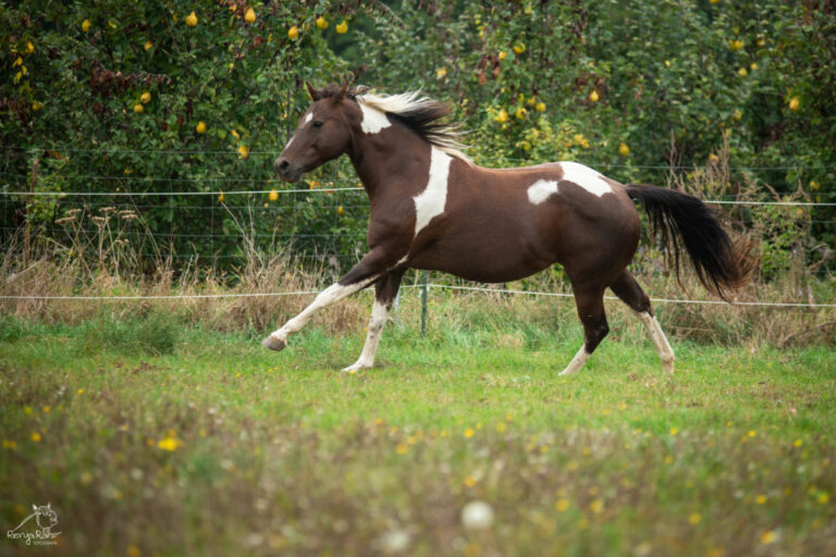 P62A4473-1024x683-1-768x512