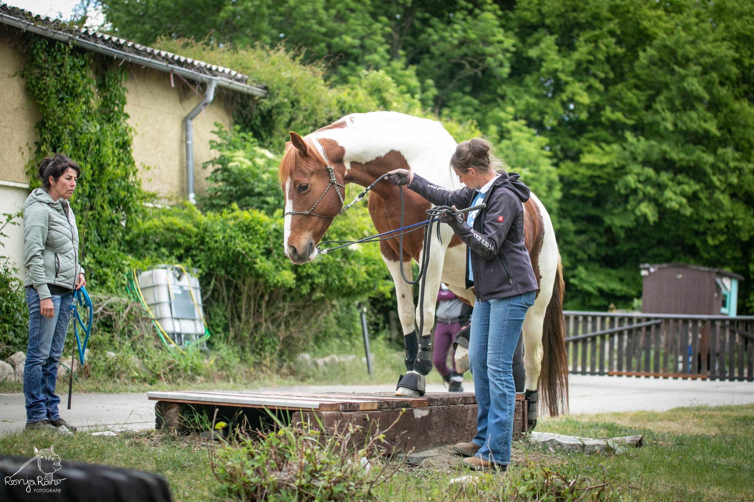 Angie-Salina Weimann