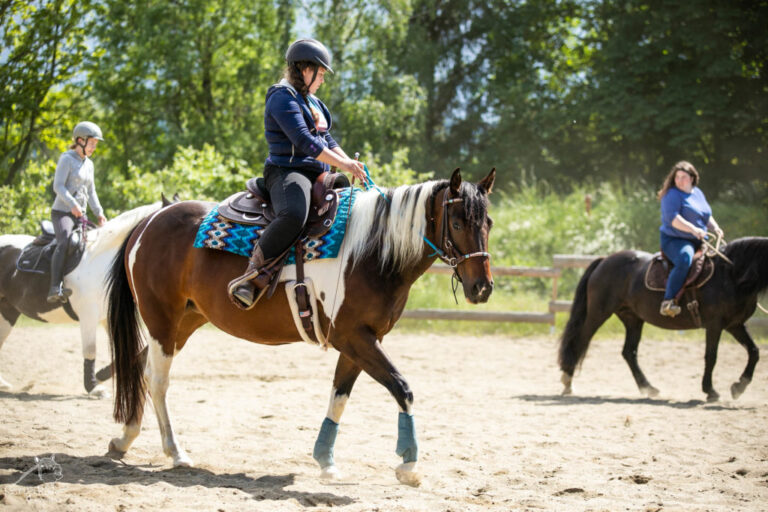 P62A7306-1024x683-1-768x512