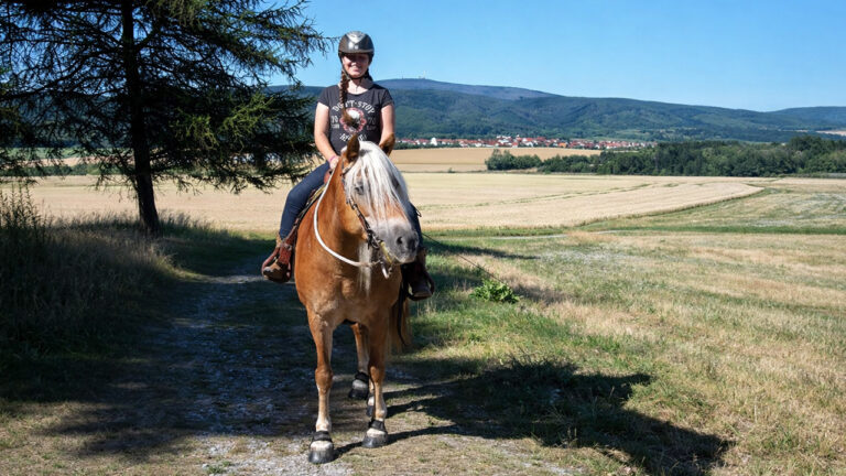 ausreitgelaende-zur-lust2-768x432
