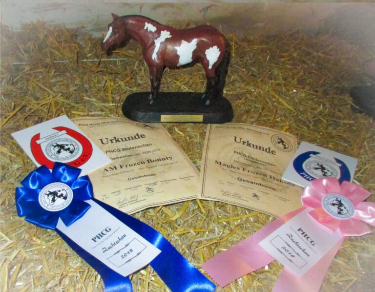 fohlenshow-preis-1024x797-1-768x598