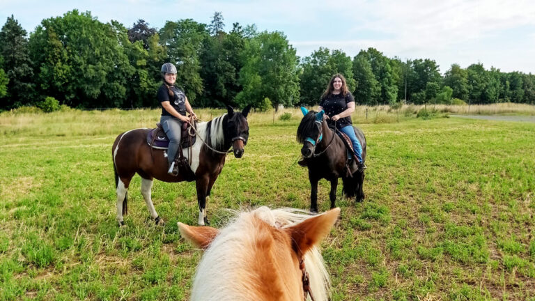 gruppenausflug-768x432