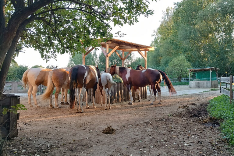 haltungsimpressionen-768x512