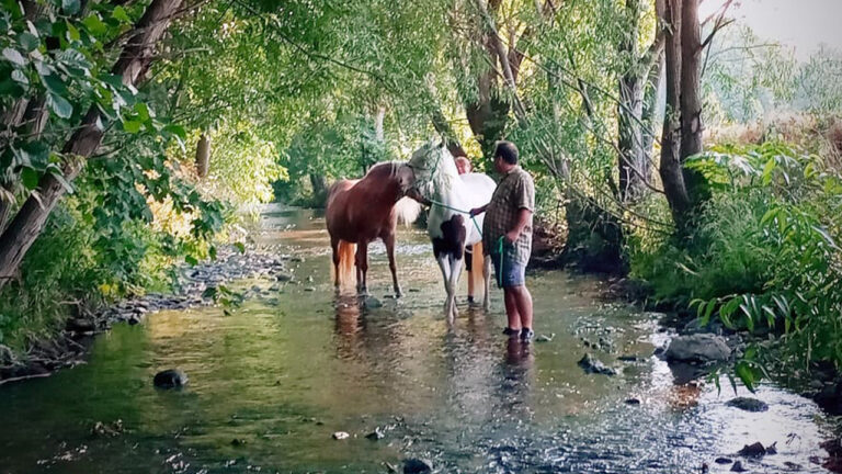 holtemme-ausreitgelaende-768x432