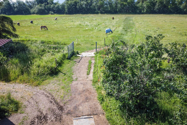 koppeln-von-oben-768x512