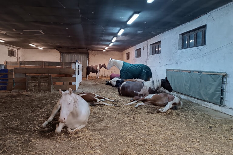 schlafenszeit2-768x512